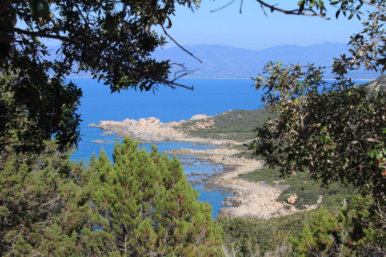 Villas Valinco San Martinu Corse Du Sud - Vue Et Proche Mer - Piscines-7 Chambres Olmeto  Buitenkant foto