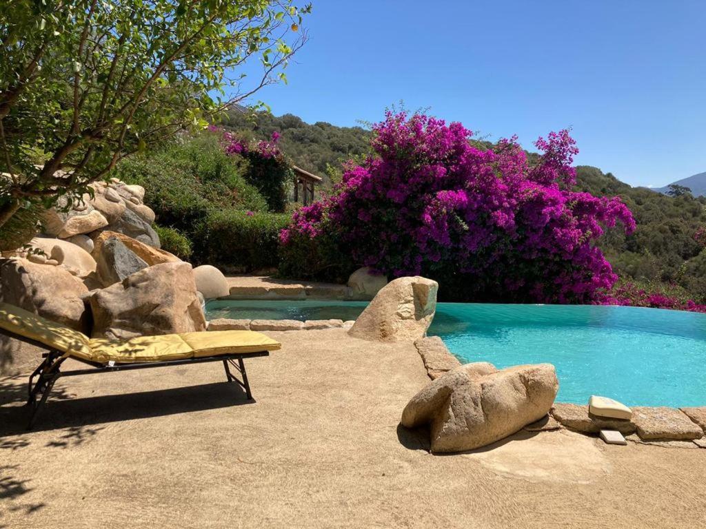 Villas Valinco San Martinu Corse Du Sud - Vue Et Proche Mer - Piscines-7 Chambres Olmeto  Buitenkant foto